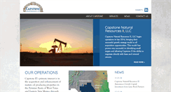 Desktop Screenshot of capstonenr.com